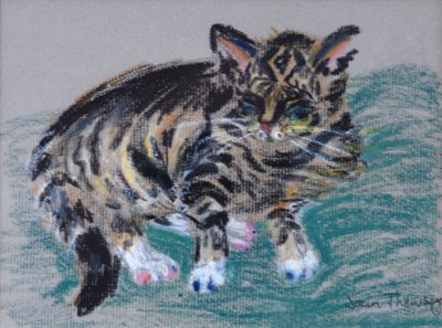 Chat tigré - Joan Thewsey