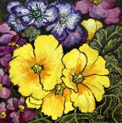 Trois primevères jaunes entourées de primevères mauves et violettes et de feuilles - Joan Thewsey