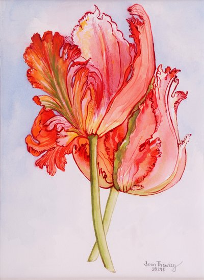 Deux Tulipes Frangées, 2000 - Joan Thewsey