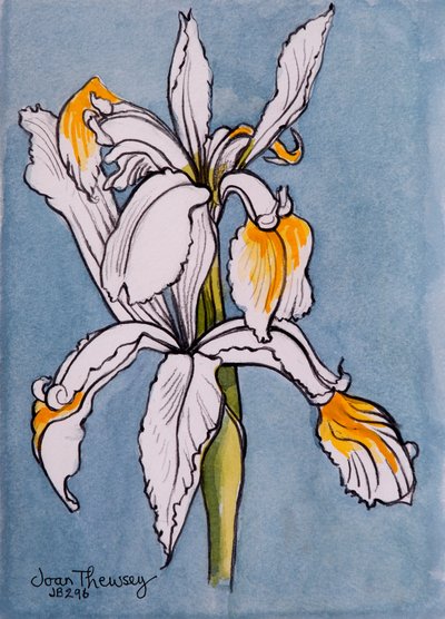 Deux Iris, 2001 - Joan Thewsey