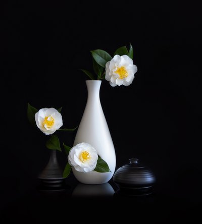 Nature morte aux camélias blancs - Joanna W