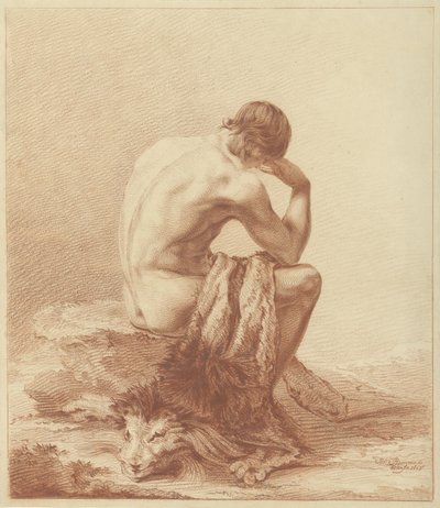 Le tueur de lions - Joannes Bemme