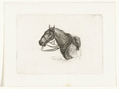 Tête de cheval vers la gauche - Joannes Bemme