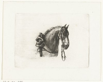 Tête de cheval vers la droite - Joannes Bemme