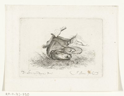 Tête de cheval couché - Joannes Bemme