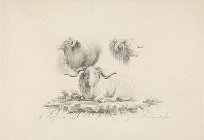 Études d