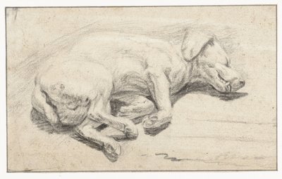 Chien couché, dormant - Joannes Fijt (attributed to)