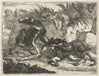 Deux chiens - Joannes Fijt