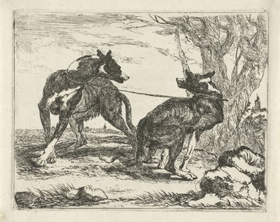 Deux chiens - Joannes Fijt