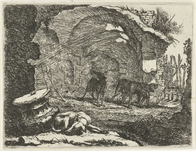Quatre chiens près d