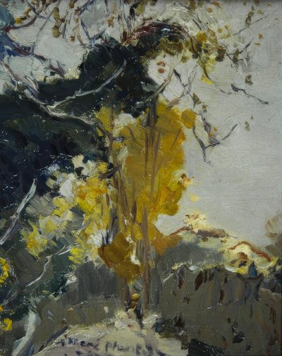 Arbre - Joaquim Mir i Trinxet