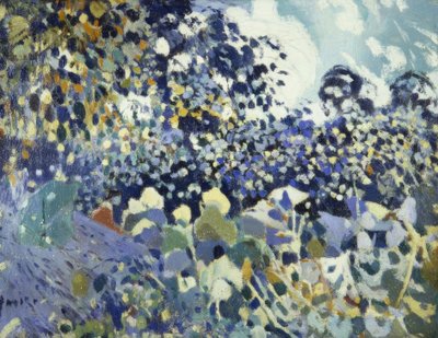 Fleurs - Joaquim Mir i Trinxet