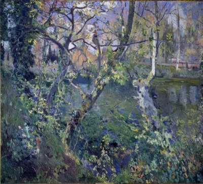 La pluie de Moguda - Joaquim Mir i Trinxet
