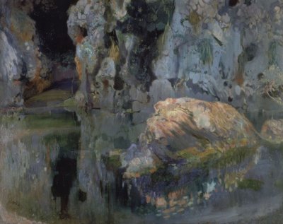 El roc de l’estany - Joaquim Mir i Trinxet