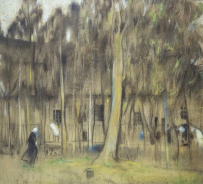 Jardin de Pere Mata - Joaquim Mir i Trinxet