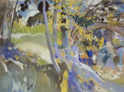 L’Aleixar - Joaquim Mir i Trinxet