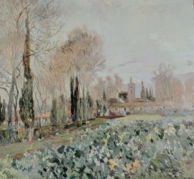 Paysage - Joaquim Mir i Trinxet