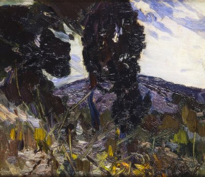 Paysage - Joaquim Mir i Trinxet