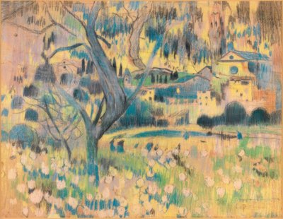 Maspujols - Joaquim Mir i Trinxet