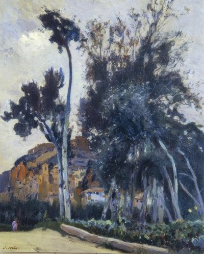 Miravet - Joaquim Mir i Trinxet