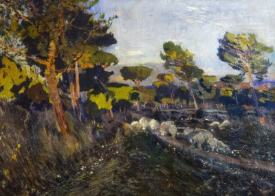 Sans titre - Joaquim Mir i Trinxet
