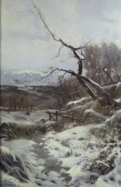 Hiver - Joaquim Mir i Trinxet