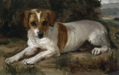Chien - Joaquín Sorolla