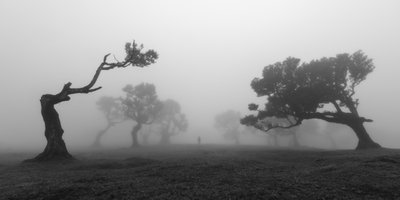  - Jochen Bongaerts
