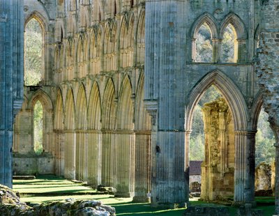 Abbaye de Rievaulx, vers 1990-2010 - Joe Cornish
