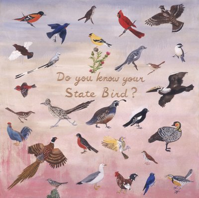 Connaissez-vous votre oiseau d