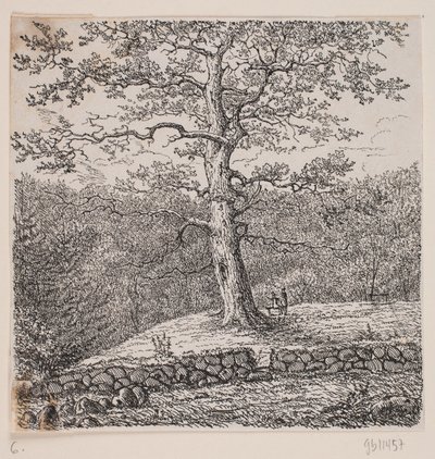 Le chêne de Niels Ebbesen à Nørreris - Johan Aagaard
