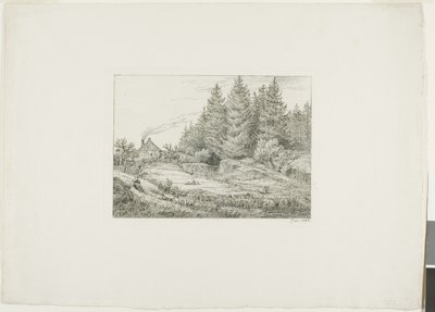 Ferme dans une forêt de conifères - Johan Christian Dahl