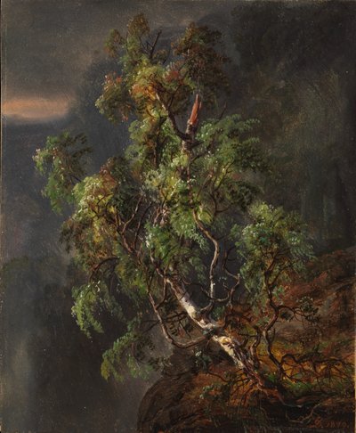Bouleau dans la tempête - Johan Christian Dahl