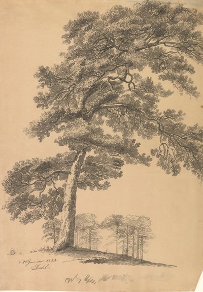Pin - Johan Christian Dahl
