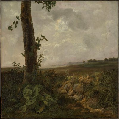  - Johan Christian Dahl