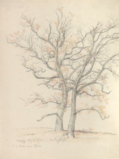 Deux chênes - Johan Christian Dahl
