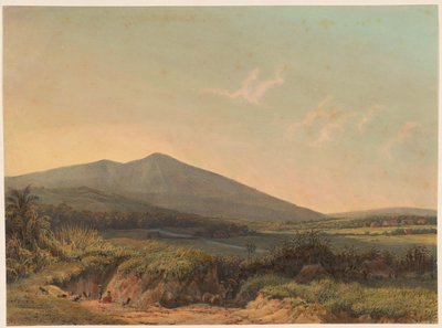 Vue sur Kedungbadak - Johan Conrad Greive