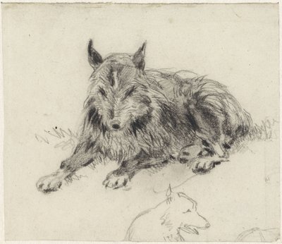 Chien de berger couché - Johan Daniël Koelman