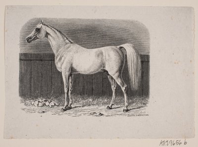 Un cheval - Johan Frederik Rosenstand