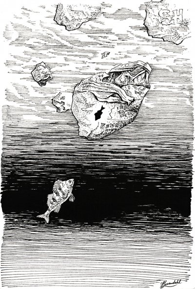 Des poissons sous le plastique - Johan Liewendahl