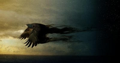 Royaume des oiseaux 2, 2018 - Johan Lilja