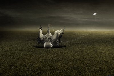 Aide en chemin, 2013 - Johan Lilja