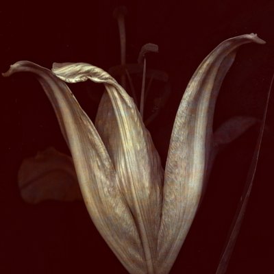 Lys 2 - Johan Lilja