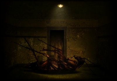 La transformation - Johan Lilja