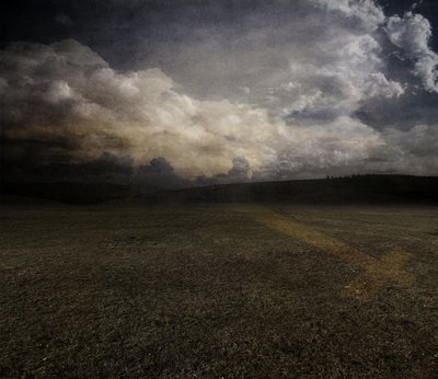 Tulipe, 2015 - Johan Lilja