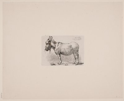 Danois : Un âne en proie aux mouches - Johan Lundbye