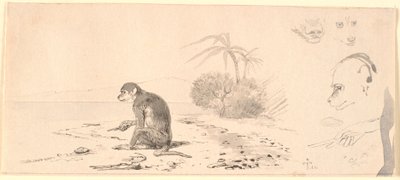 Le singe. À droite, études de têtes de singe, etc. - Johan Thomas Lundbye