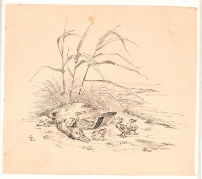 Le canard sauvage tué. Illustration pour "Fabler for Børn" de Kaalund. - Johan Thomas Lundbye