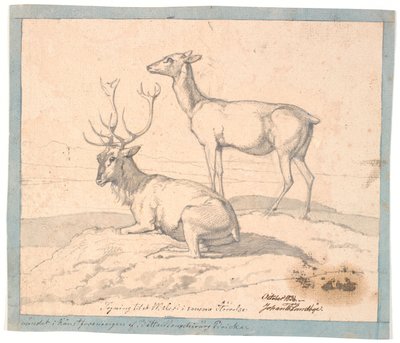 Un cerf couché et une biche debout - Johan Thomas Lundbye