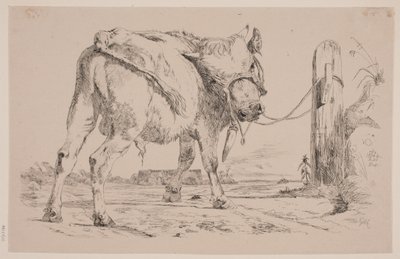 Un veau attaché à un poteau de clôture - Johan Thomas Lundbye